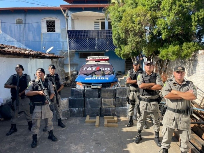 tatico