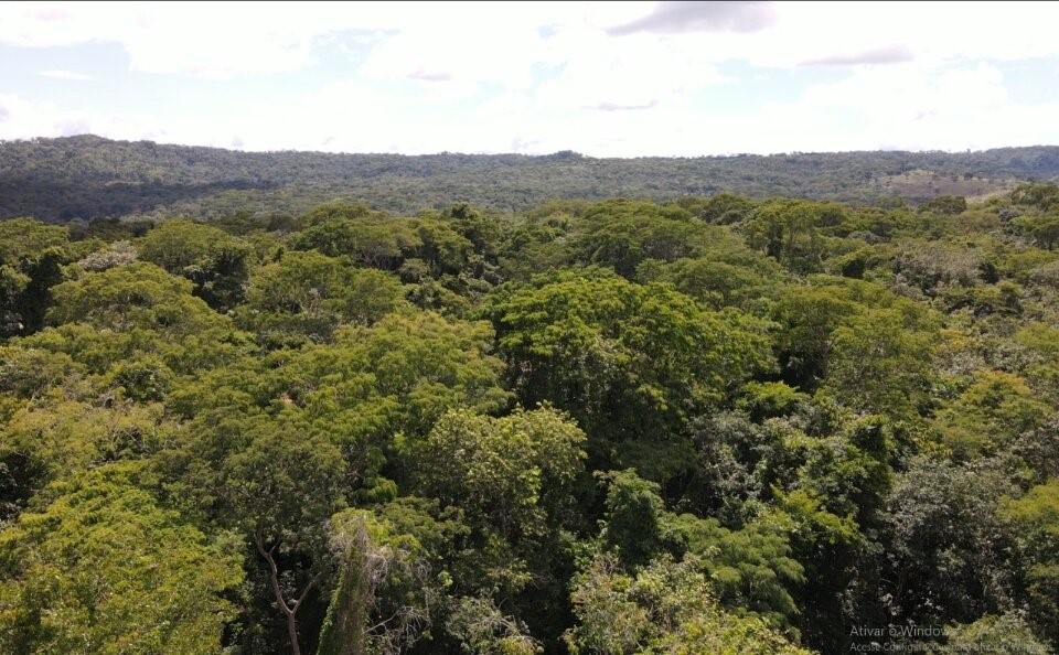 parque altamiro