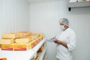 agroindustria goias