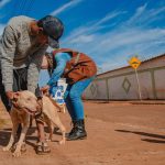 Vigilância de Zoonoses reforça importância da vacinação antirrábica de cães e gatos