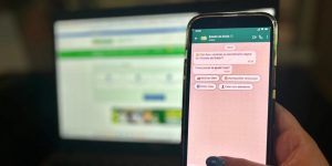 whatsapp gov go