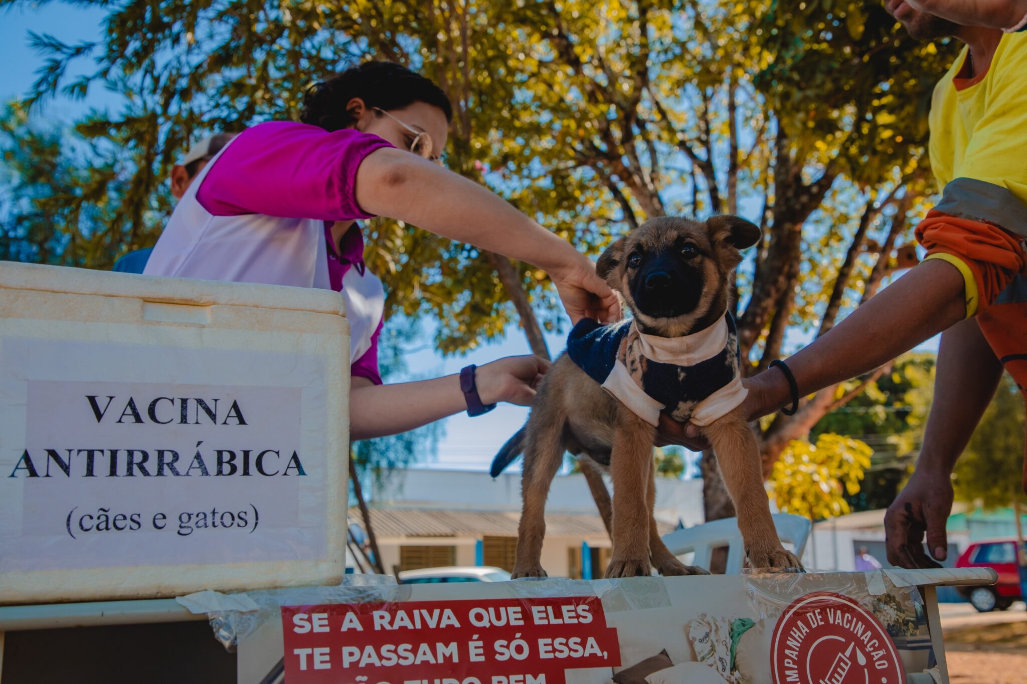 Julho Dourado reforça conscientização sobre prevenção às zoonoses em Anápolis