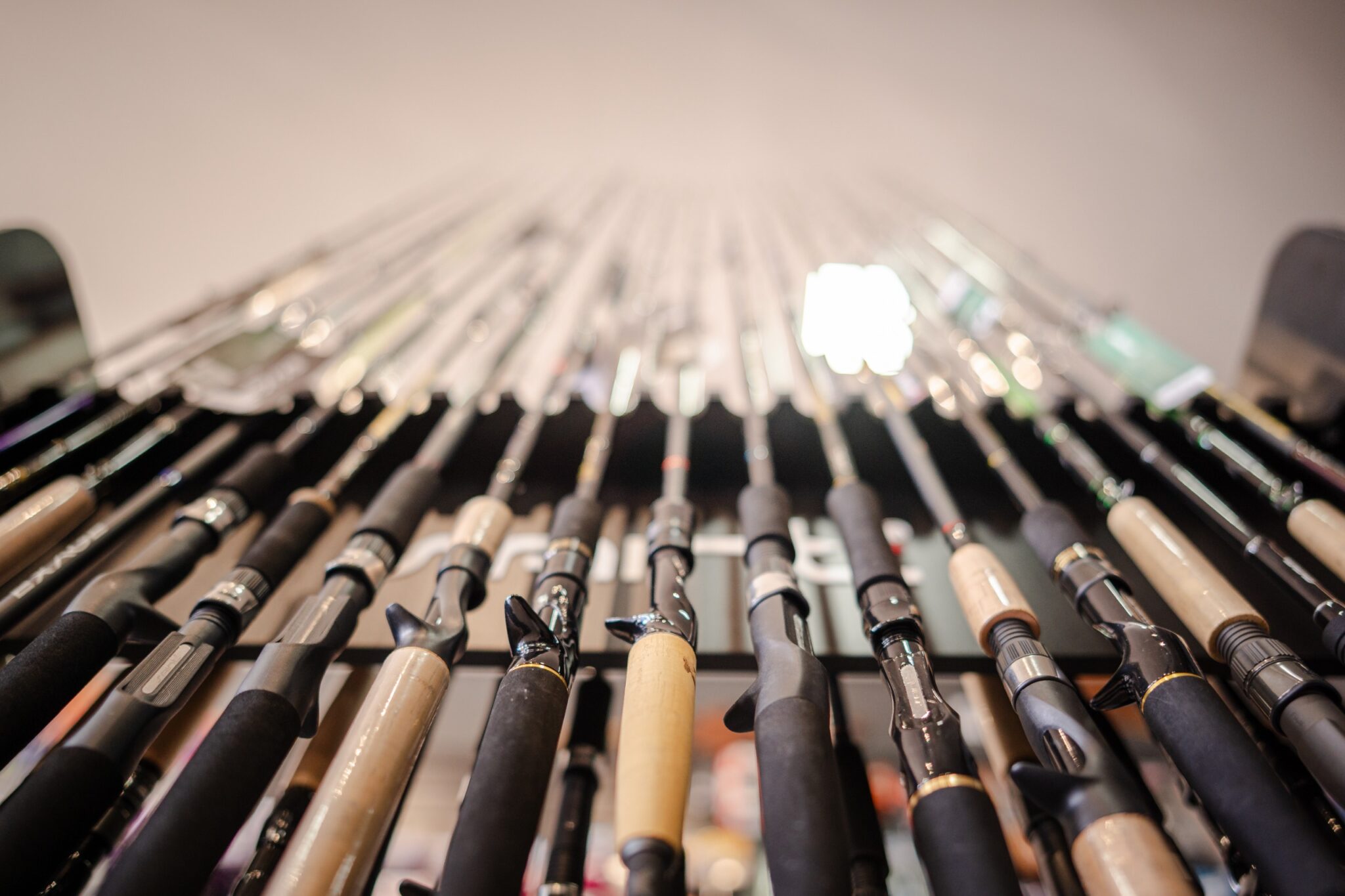 Procon Anápolis divulga pesquisa para quem quer economizar em itens de pesca e camping