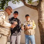 Anápolis avança no combate à dengue com nova etapa do Método Wolbachia