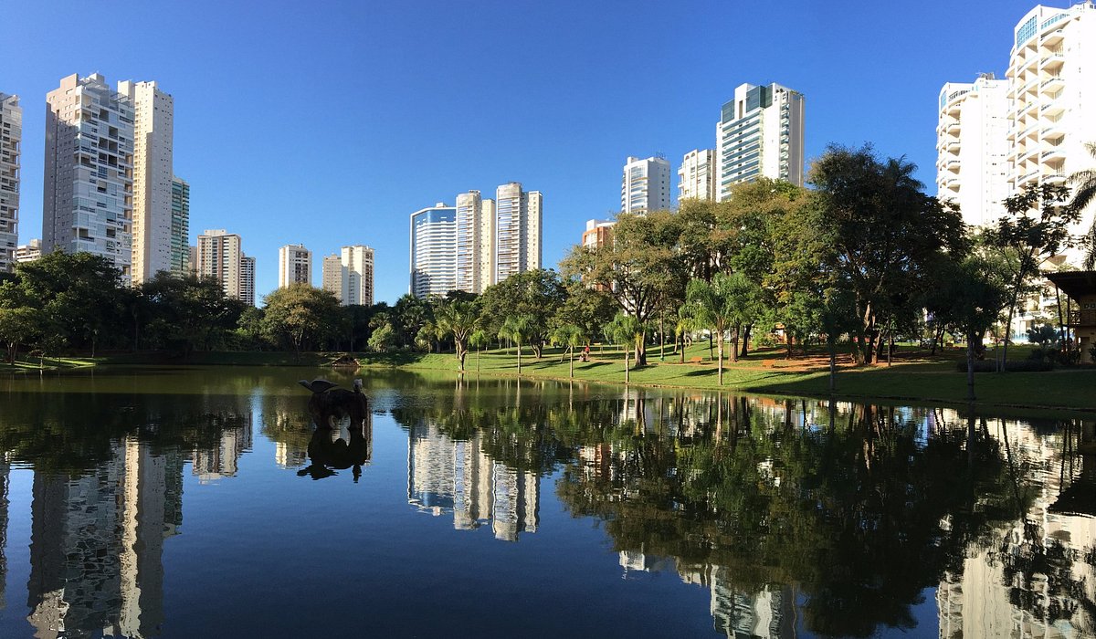 Goiânia é a 3ª cidade que mais cresce em emprego no país, mas inglês ainda separa quem chega aos melhores salários