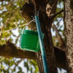 Prefeitura de Anápolis alerta sobre baldinhos verdes instalados em árvores pela cidade