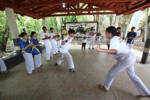 capoeira