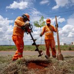 Programa Anápolis Mais Verde; 277 mudas serão plantadas em três avenidas