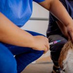 Feira Pet será realizada no próximo sábado (17) com vacinação gratuita, orientação veterinária e brindes